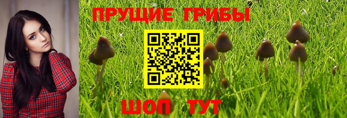 Галлюциногенные грибы Magic Shrooms Каменск-Уральский